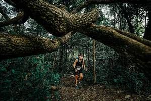 BIB: 
                            <button type="button" onclick="openModal(25708353)" class="btn btn-primary btn-sm float-right btn-popup" data-toggle="modal" data-target=".modal-high-quality">
                        <i class="fas fa-shopping-cart"></i> Add to Cart
                    </button>
                                            <button type="button" onclick="isThisMe(25708353, true)" class="btn btn-success btn-sm float-right btn-popup btn-isme hidden" data-toggle="tooltip" data-placement="bottom" title="นี่คือรูปของคุณใช่ไหม คลิกที่นี่เพื่อเอาเข้าอัลบั้ม">
                        <i class="fas fa-plus"></i> Add to album
                    </button>
                    <button type="button" onclick="isThisMe(25708353, false)" class="btn btn-warning btn-sm float-right btn-popup btn-isnotme hidden">
                        <i class="fas fa-ban"></i> Remove from album
                    </button>